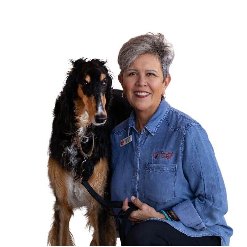 Simple Professional LinkedIn Profile Picture